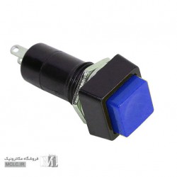 شستی پلاستیکی PBS-12B مربعی آبی