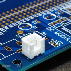 کانکتور XH نری صاف دو پین