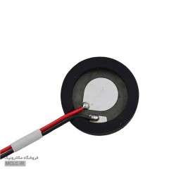 پیزو الکتریک بخار آب سرد 25 میلی متر پیزو الکتریک بخار آب سرد 25 میلی متر