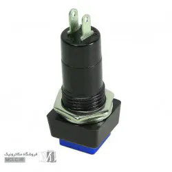 شستی پلاستیکی PBS-12B مربعی آبی