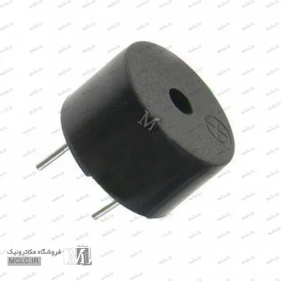 بازر 5 ولت سنسور و ترنسدیوسر