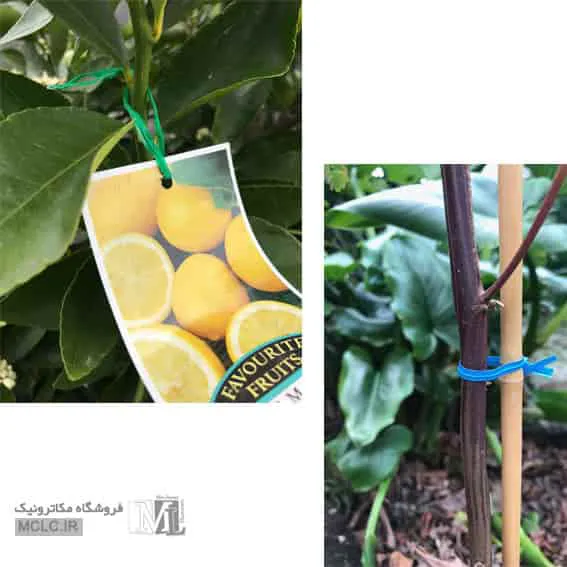 استفاده از سیم بست جهت بستن گیاهان